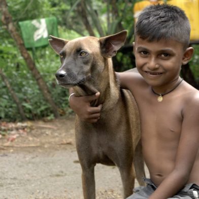 Sri Lankan boy with dog, still from Alex Gatenby film
