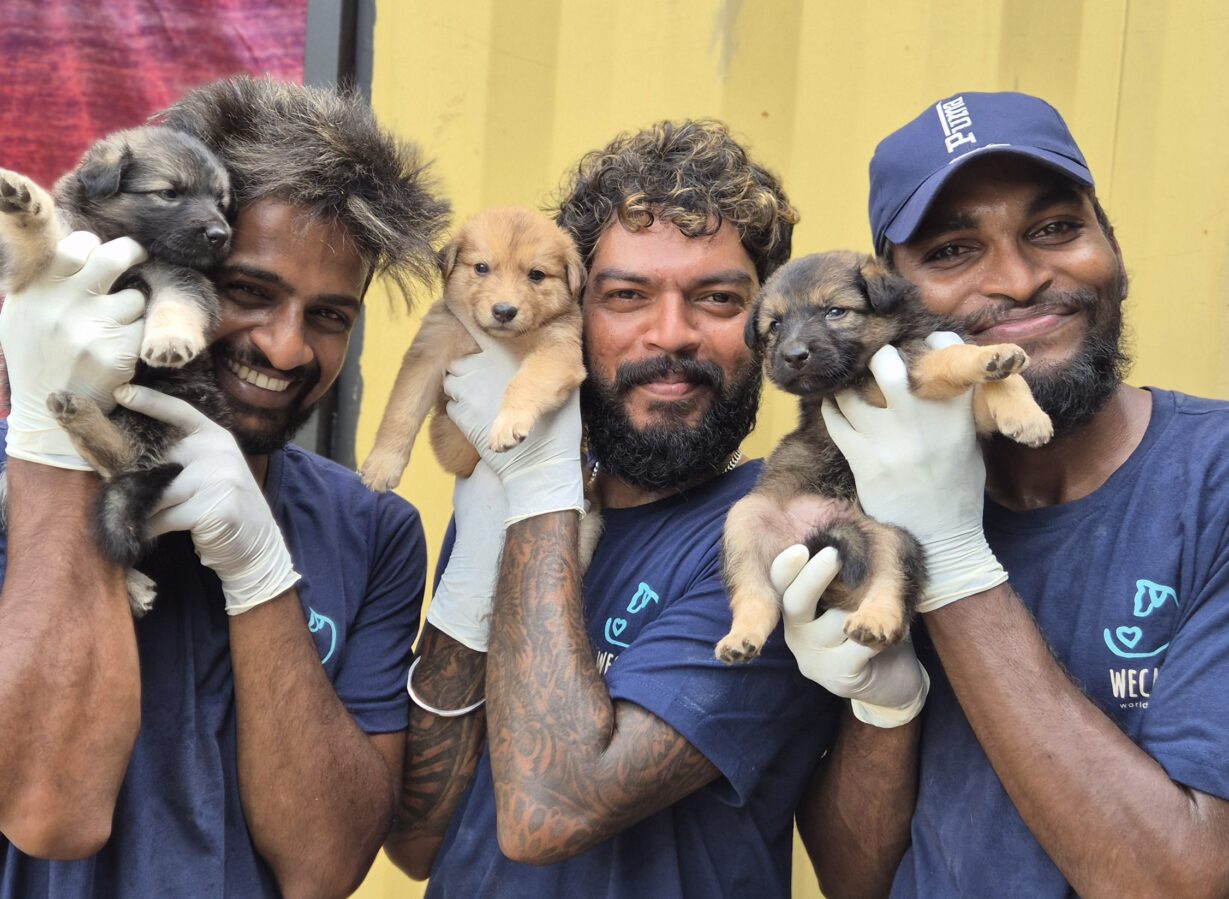WECare Worldwide CNVR staff members holding neutered and vaccinated Sri Lankan street puppies