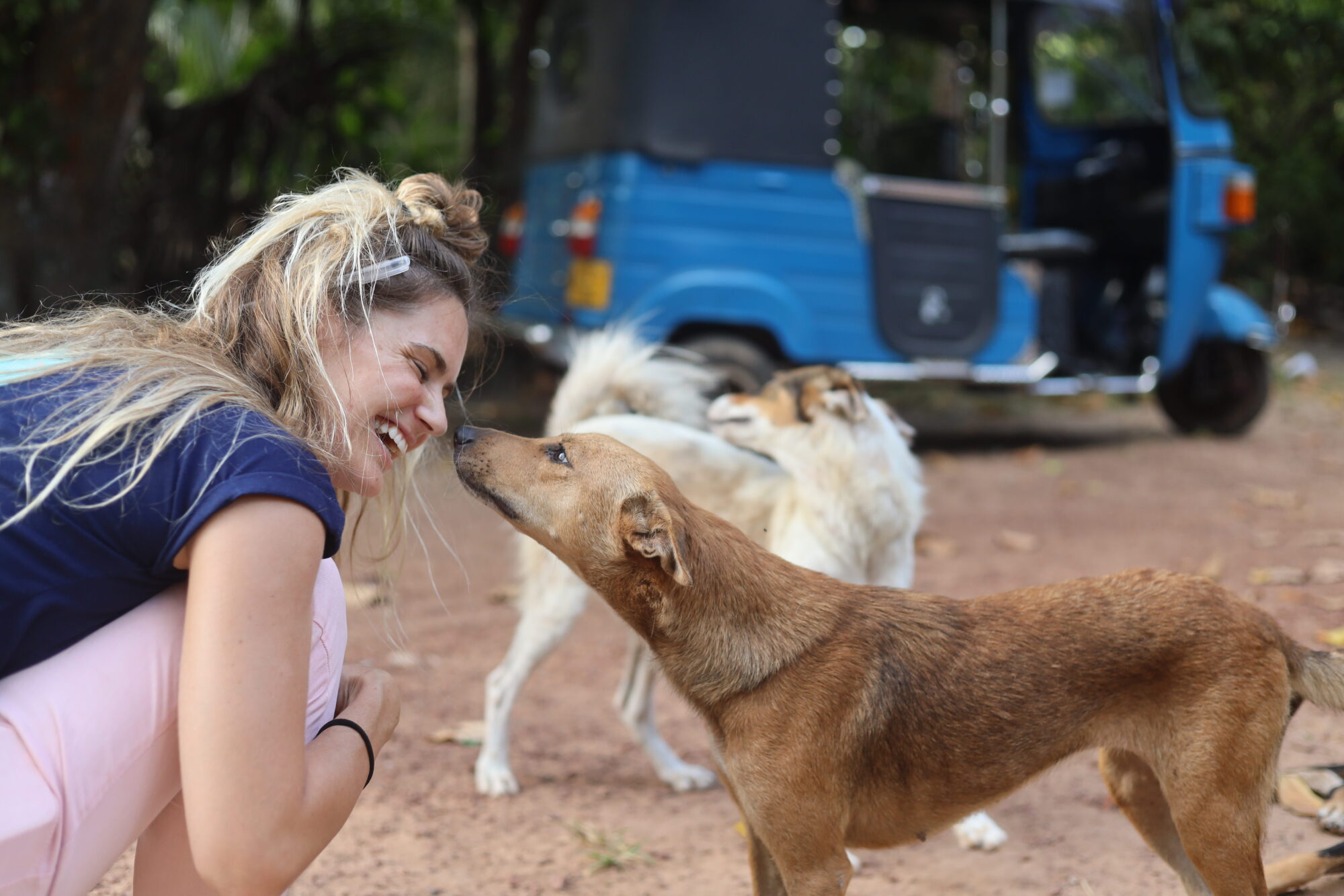 WECare Worldwide founder and UK vet Dr Janey Lowes with a Sri Lankan street dog
