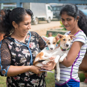 Pet owners bringing their dogs for free neuters and rabies vaccinations at a WECare Worldwide CNVR project in Sri Lanka